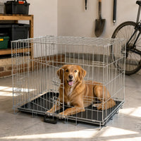 Foldable metal dog crate set up in a garage with the front door closed